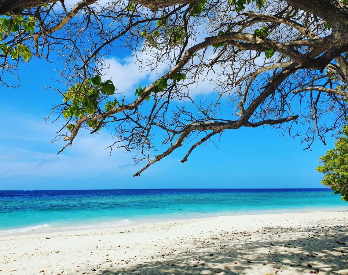 ホテル Nihaali Maldives Kudarikilu エクステリア 写真