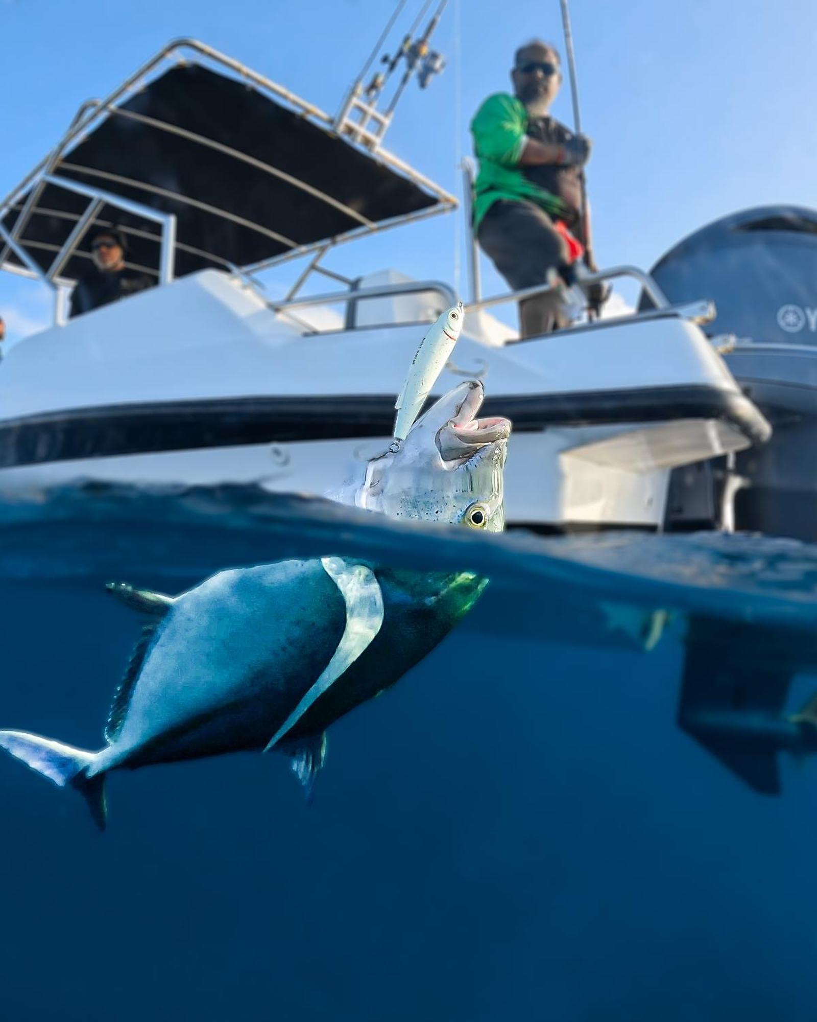ホテル Nihaali Maldives Kudarikilu エクステリア 写真